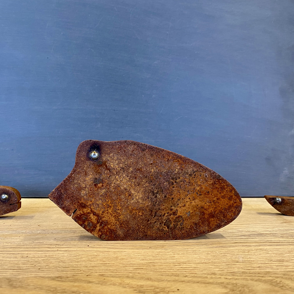 Tierische Schweinerei #031 - 2168gr