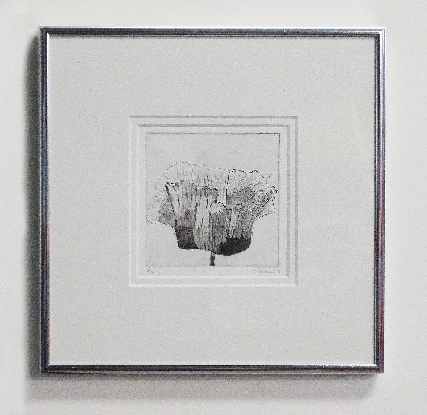 101 Papavers - #1 - Afbeelding 3