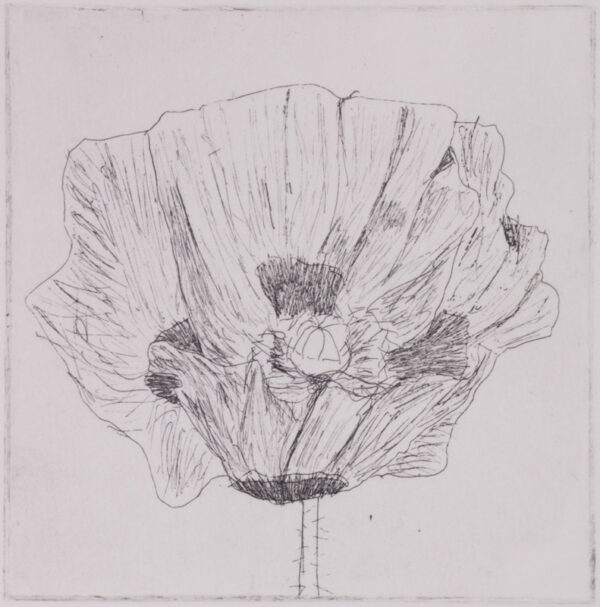 101 Papavers - #13