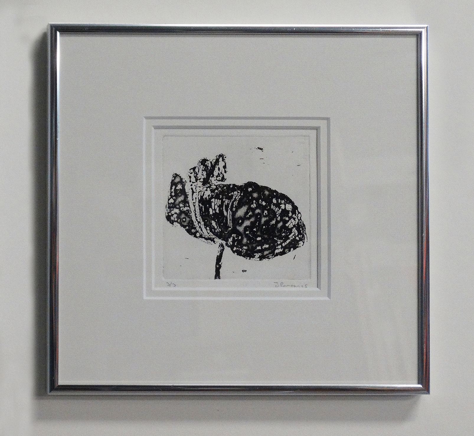 101 Mohnblumen - #15 – Bild 3