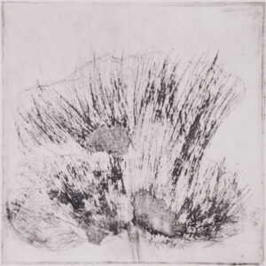 101 Poppies - #49