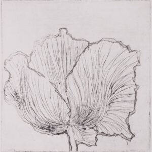 101 Poppies - #84