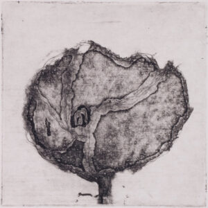 101 Poppies - #87