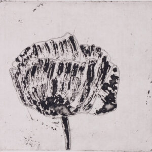 101 Poppies - #93