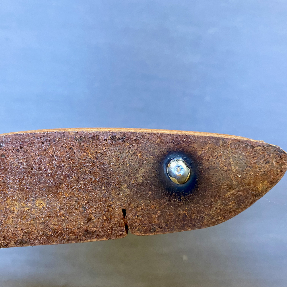 Tierische Schweinerei #021 - 956gr – Bild 2