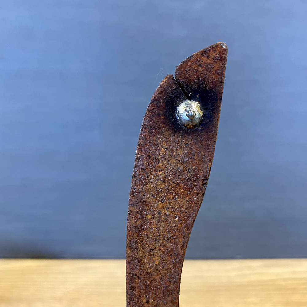 Tierische Schweinerei #015 - 660gr – Bild 2