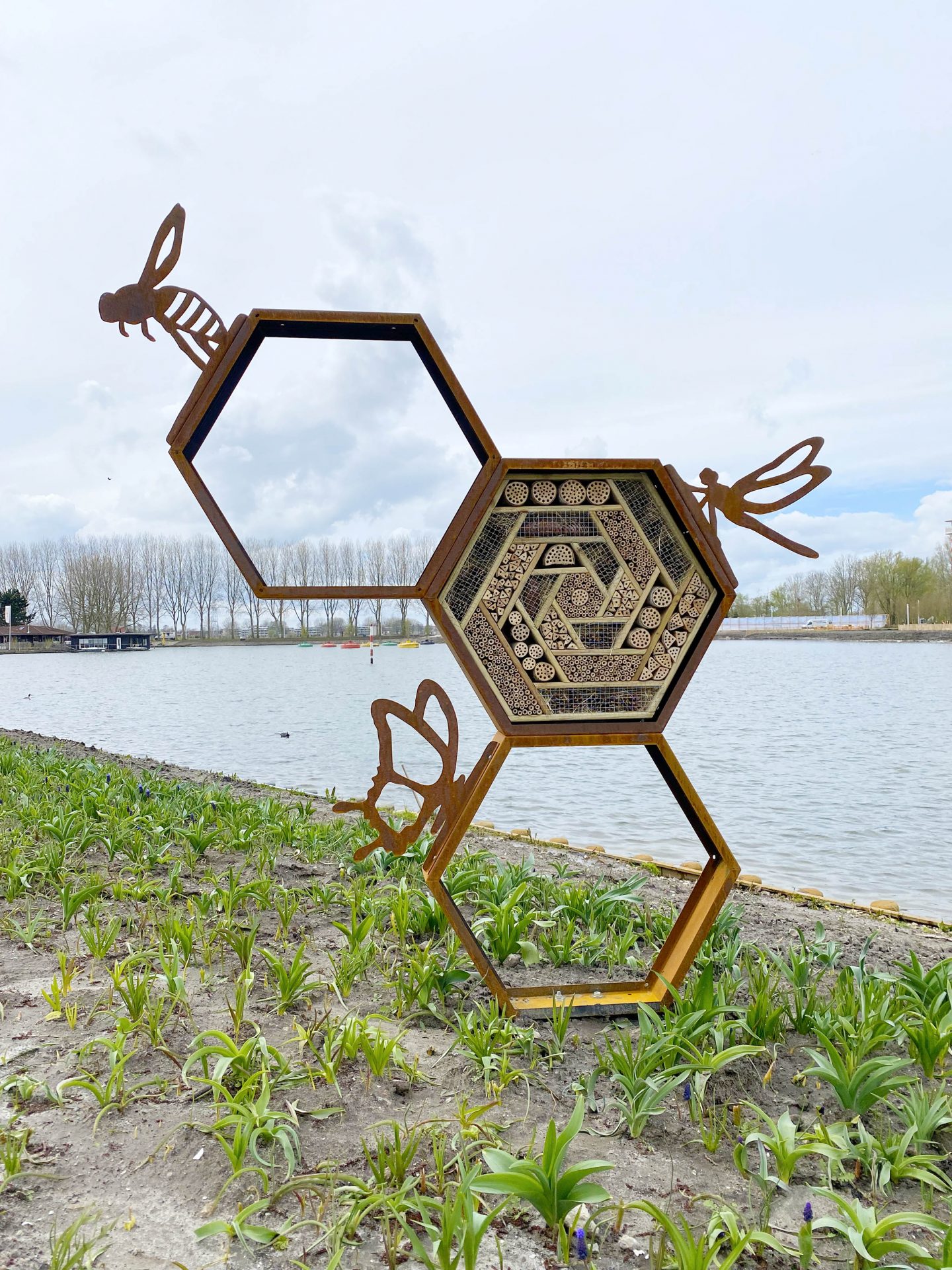 Hotello Insecta – Bild 3