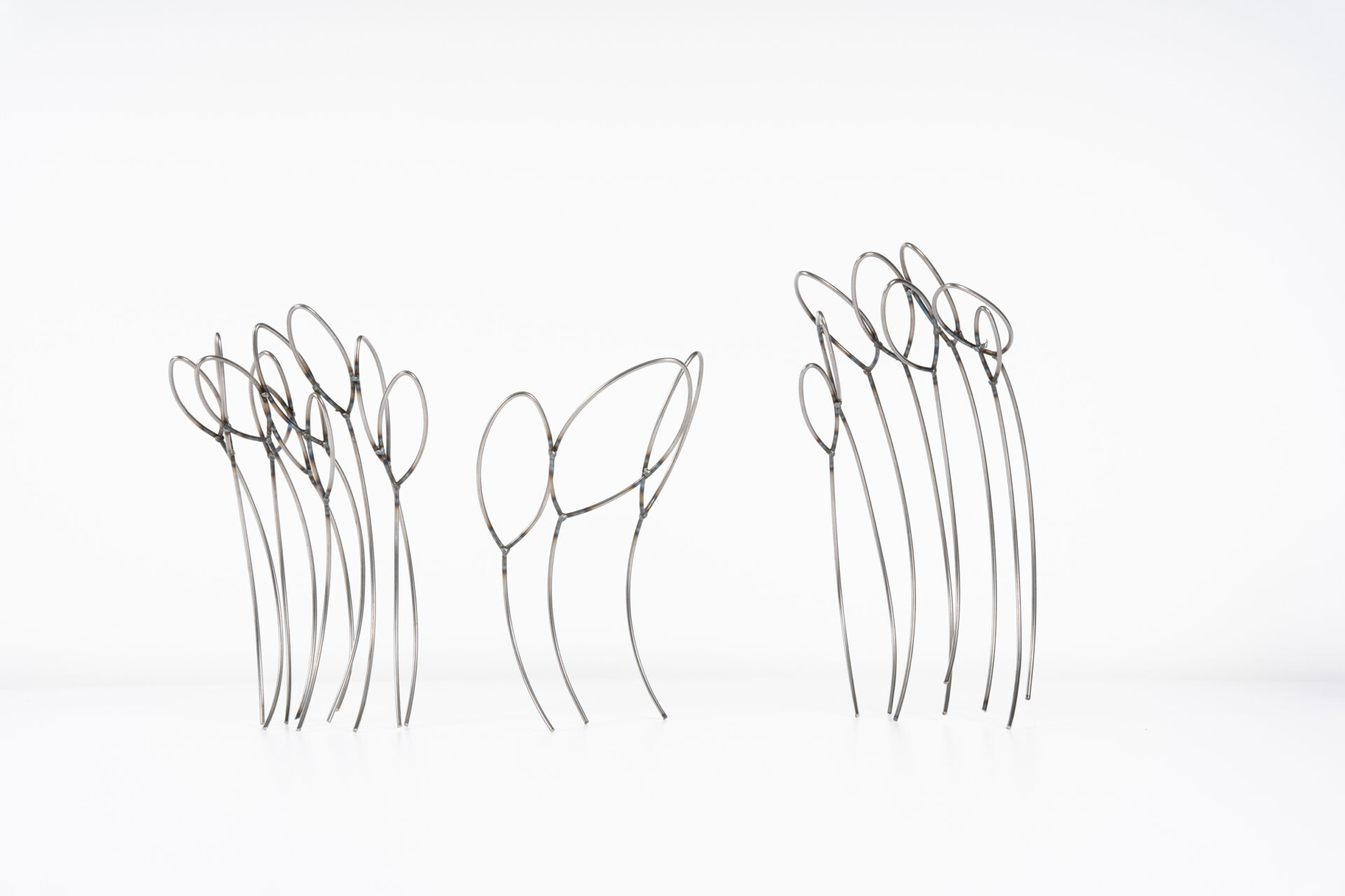 Mit dem Wind habe ich – Bild 2